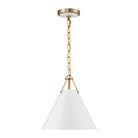 Crystorama - XAV-B8301-VG - One Light Pendant - Xavier - Vibrant Gold