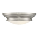 Meridian M60063BN Deux lampes Plafonnier en nickel brossé
