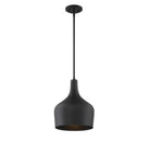 Meridian M70020MBK One Light Pendant in Matte Black