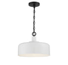 Meridian M70103WHBK One Light Pendant in White with Black