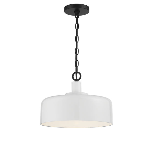 Meridian One Light Pendant