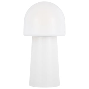 Descriptive image text