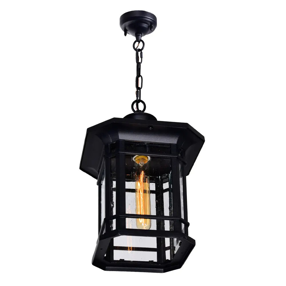 CWI Lighting Canada - 0411P9-1-101 - One Light Outdoor Pendant - Blackburn - Black