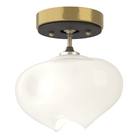 Hubbardton Forge 121372-SKT-86-14-FD0710_99