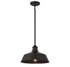 Lumière Meridian M7021ORB One Suspension en bronze huilé