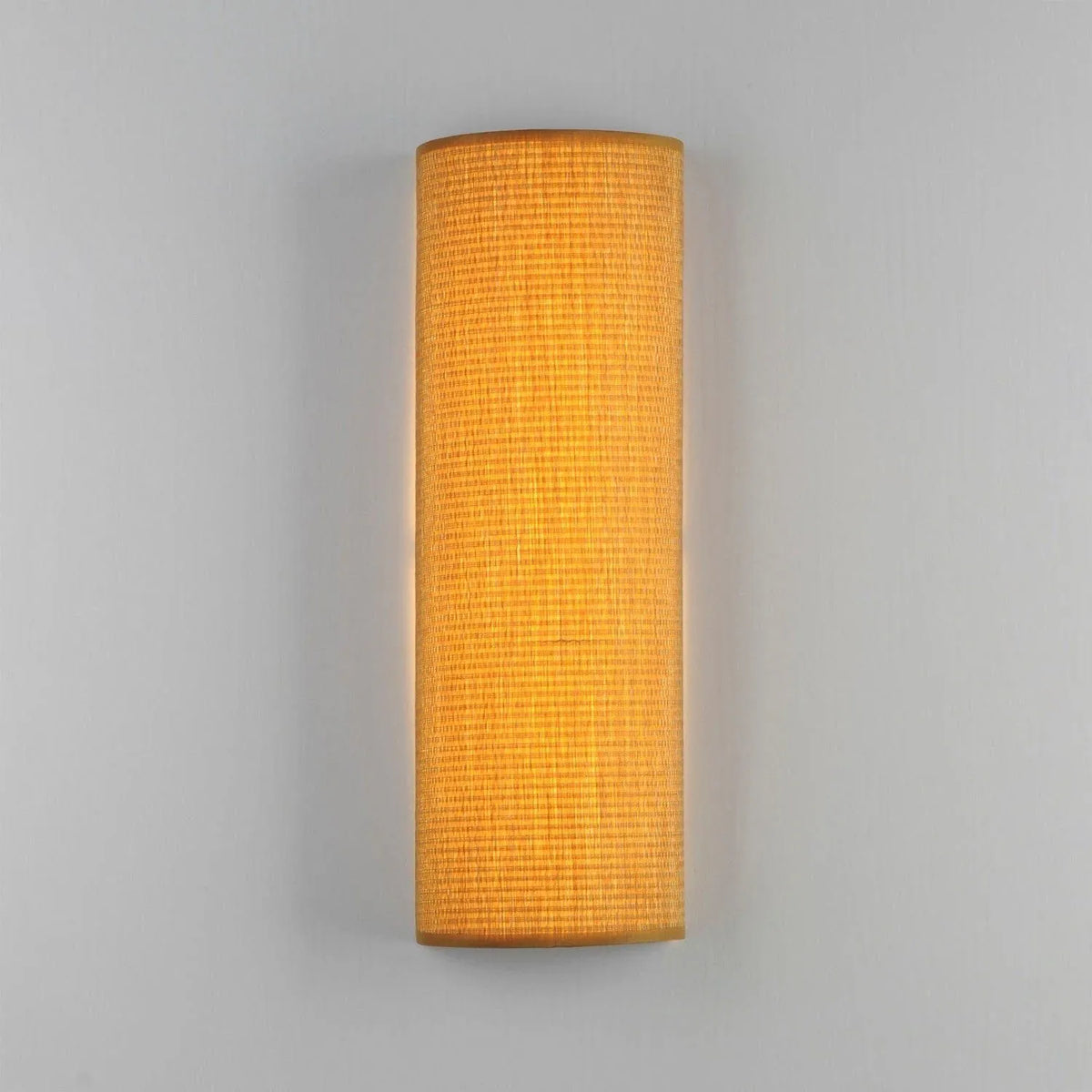 Prime Tall LED Wall Sconce