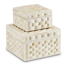 Currey and Company - 1200-0647 - Box Set of 2 - Felice - Natural