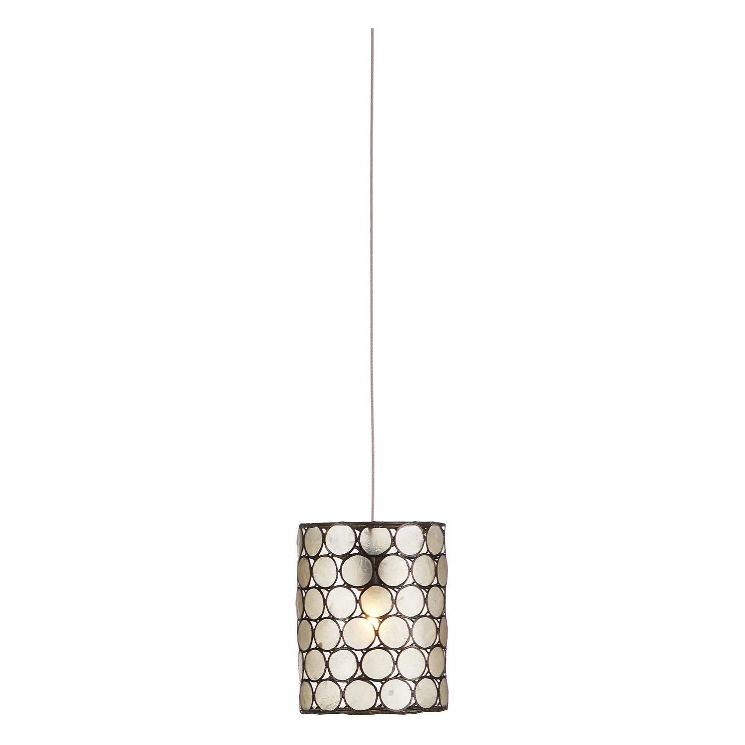 Currey and Company - 9000-1047 - One Light Pendant - Regatta - Cupertino