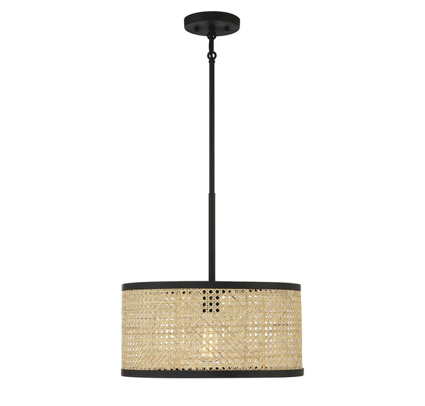 Meridian One Light Pendant