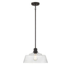 Lumière Meridian M7023ORB One Suspension en bronze huilé