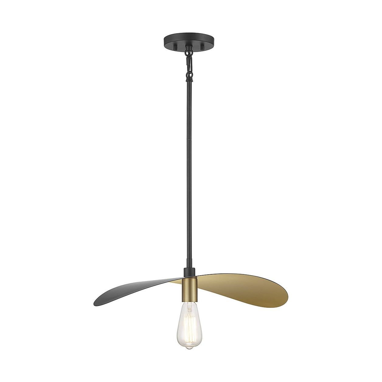 Meridian - M7031MBKNB - One Light Pendant - Matte Black and Painted Gold