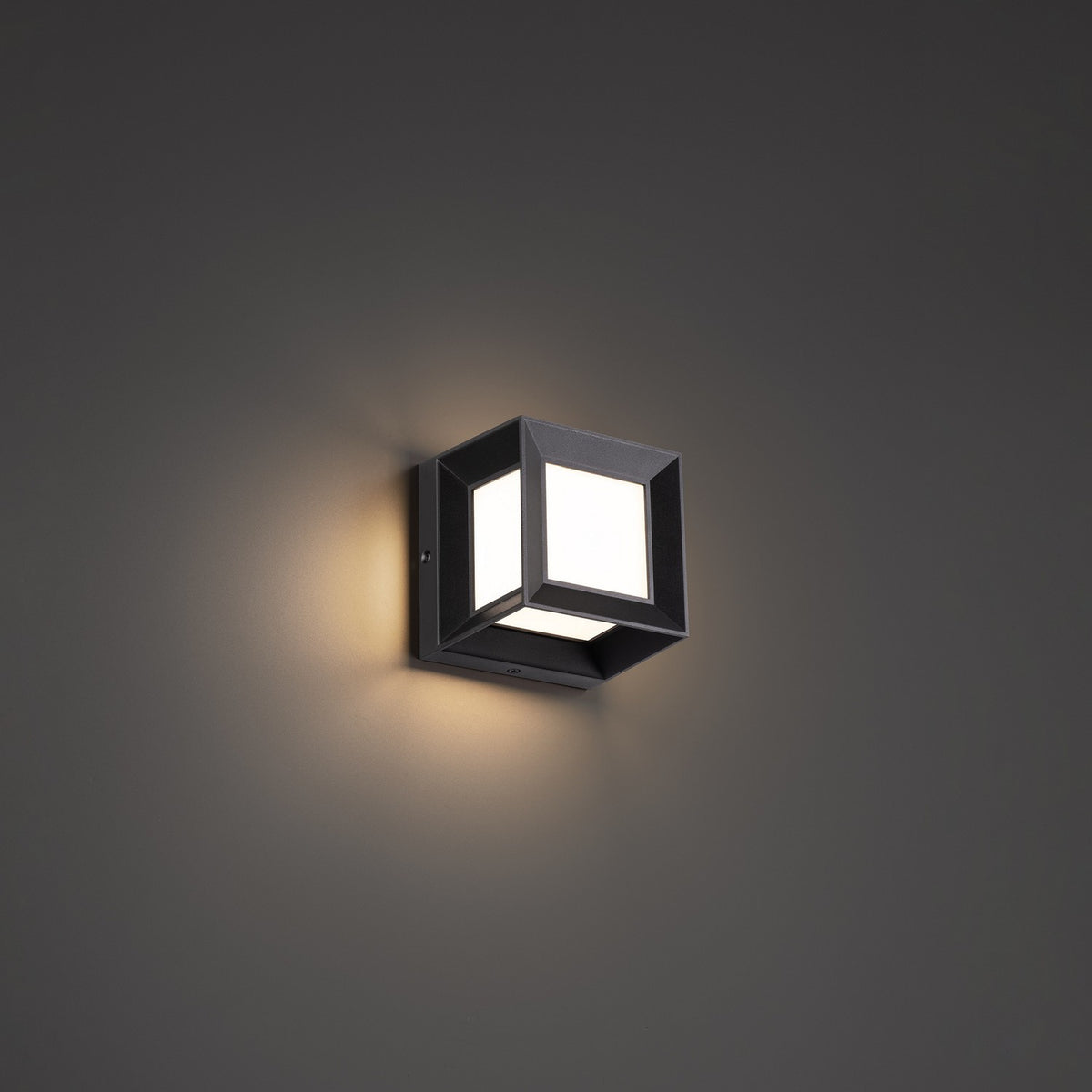Argo LED Outdoor Wall Sconce