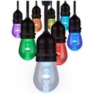 Satco Canada - S11290 - LED String Light - Black