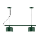 Montclair Light Works - CHB419-42-C04 - Two Light Linear Chandelier - Axis - Forest Green