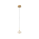 Lib & Co. Canada - 10193-030 - LED Pendant - Adelfia - Antique Brass