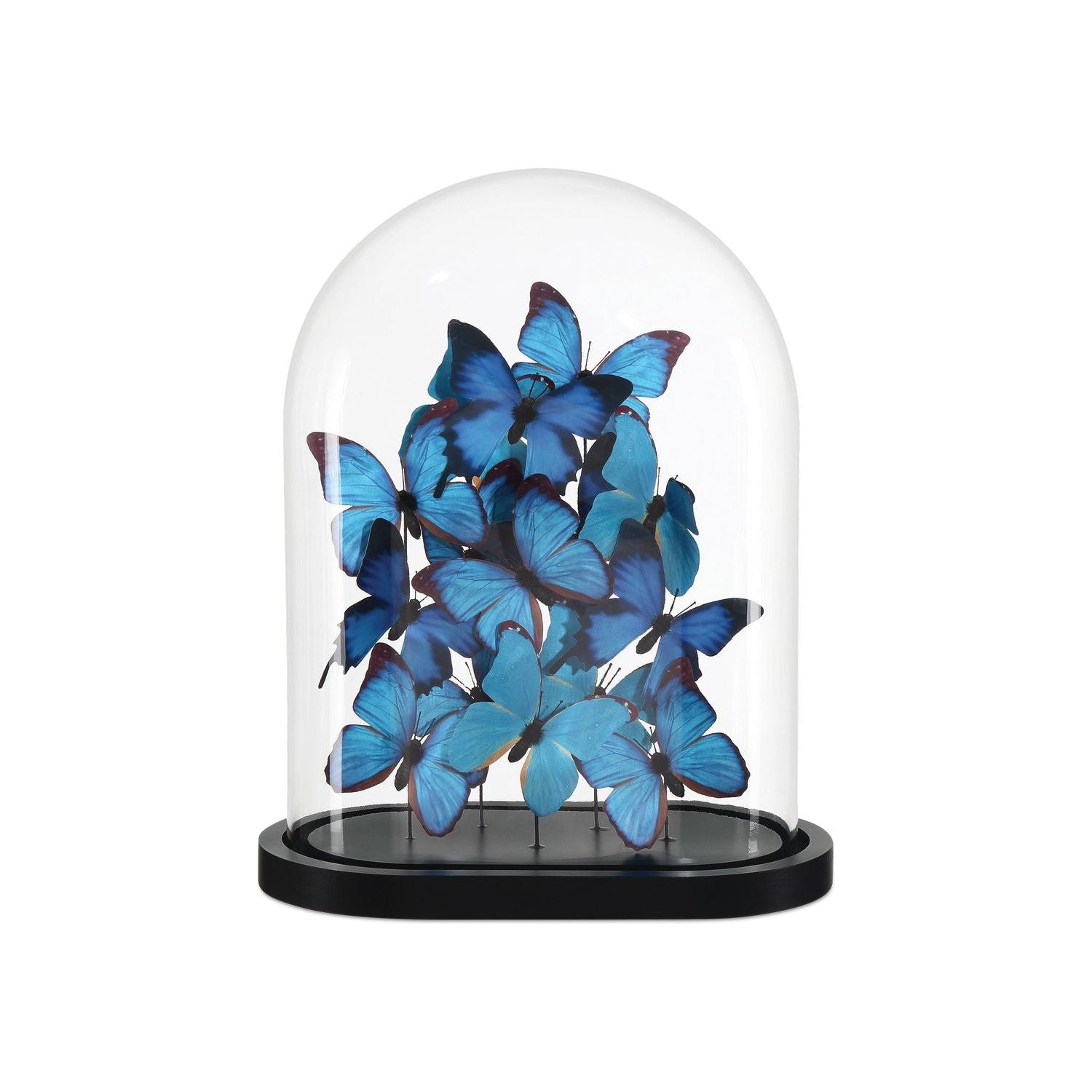 Currey and Company - 1200-0897 - Butterflies - Blue/Black/Clear
