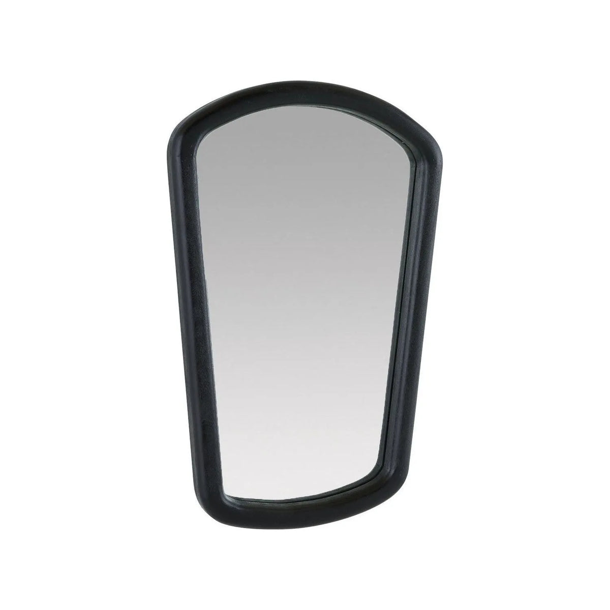 Arteriors - WMI47 - Mirror - Dyer - Ebony/Plain