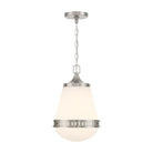 Lighting One E - V6-L7-7950-1-SN - One Light Pendant - Endura - Satin Nickel