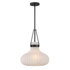 Lumière Meridian M7046MBK One Suspension en noir mat