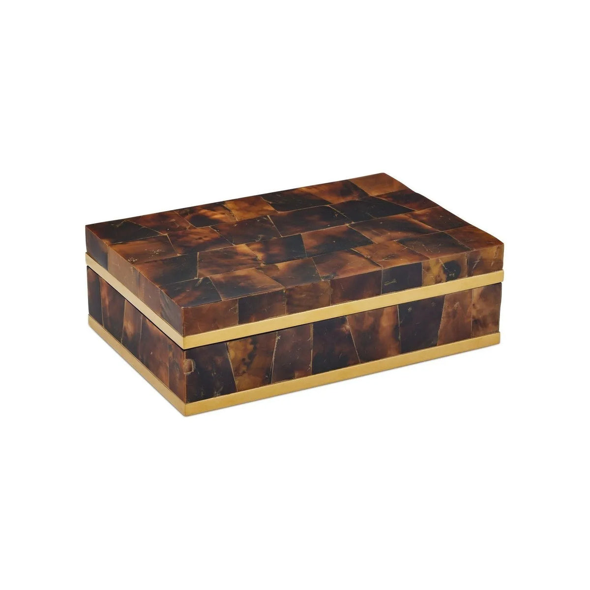 Currey and Company - 1200-0971 - Box - Casey - Natural / Brass / Black