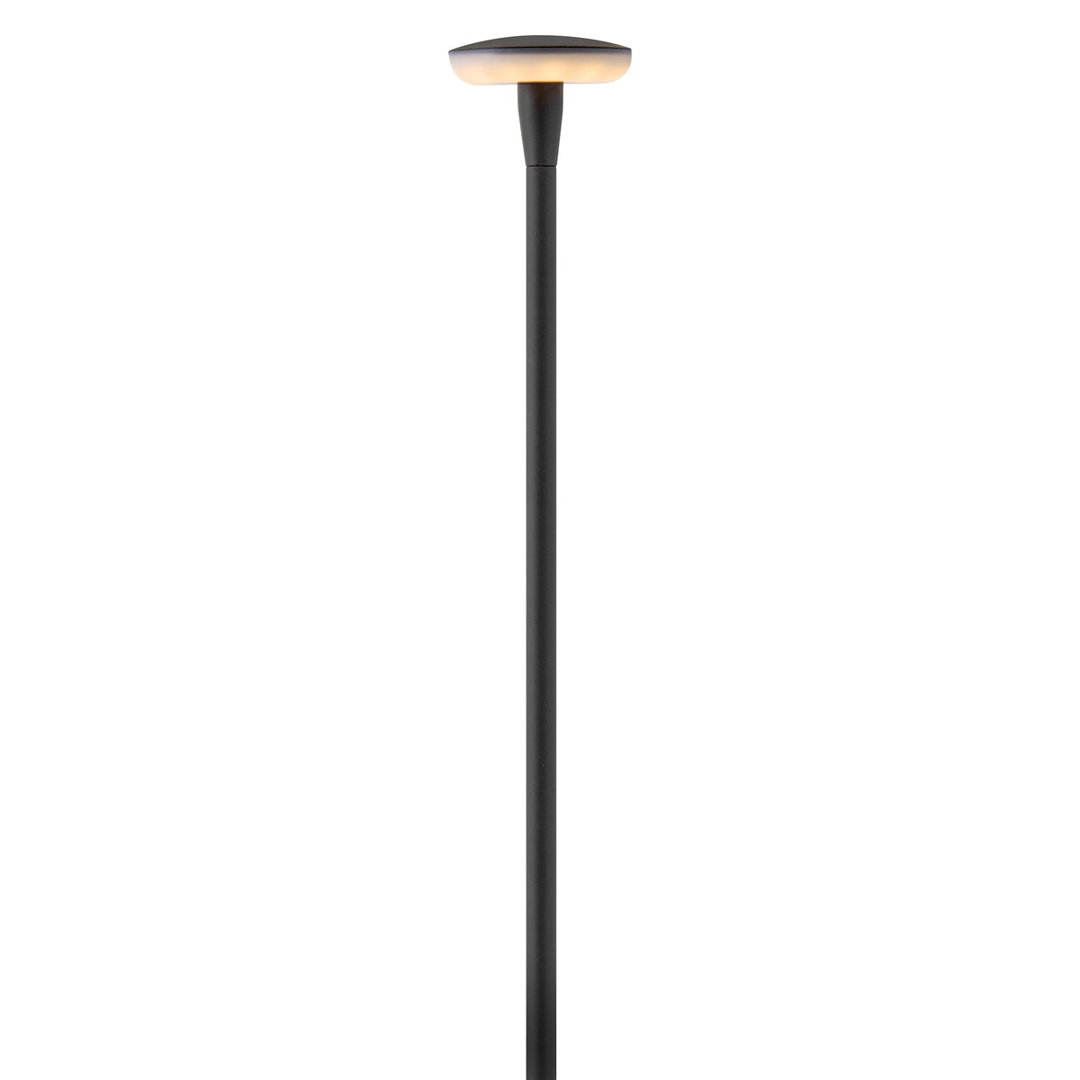 Lampe de jardin LED Calie 15690BK de Hinkley Lighting, noire