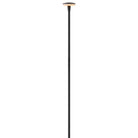 Lampe de jardin LED Calie 15693BK de Hinkley Lighting, noire
