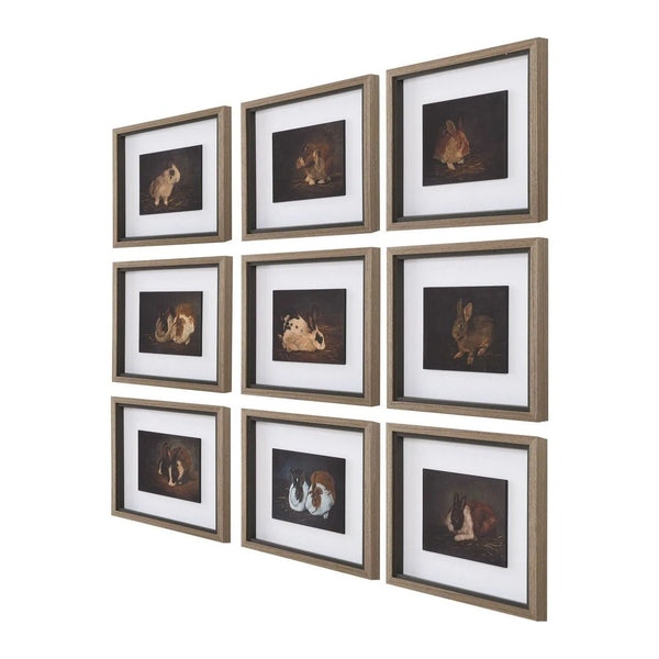 Resting Bunny Framed Print