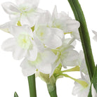 Uttermost - 60228 - Accent Arrangement - Lacey Daffodil - Paperwhite