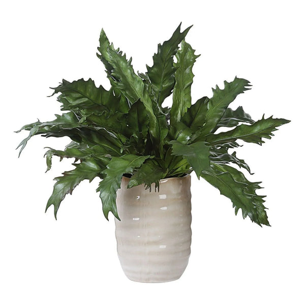 Pot émaillé Verdure Fern