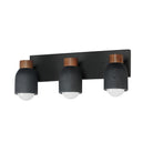 Maxim Lighting 10623LVBK Pompeii Bath Vanity in Lava / Black