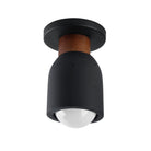 Maxim Lighting 10629LVBK Pompeii Flush Mount in Lava / Black
