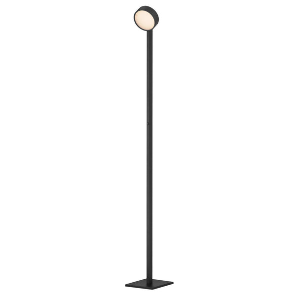 Embrace LED Floor Lamp