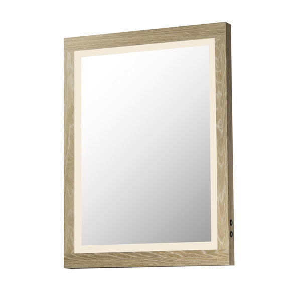 Scieur DEL Miroir