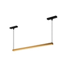Kuzco Canada - TRL28122-BG - LED Track Linear Pendant - Mira - Brushed Gold