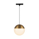 Kuzco Canada - TRP11707-BG - Track - Pendants