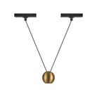 Kuzco Canada - TRP27203-BG - Track - Pendants