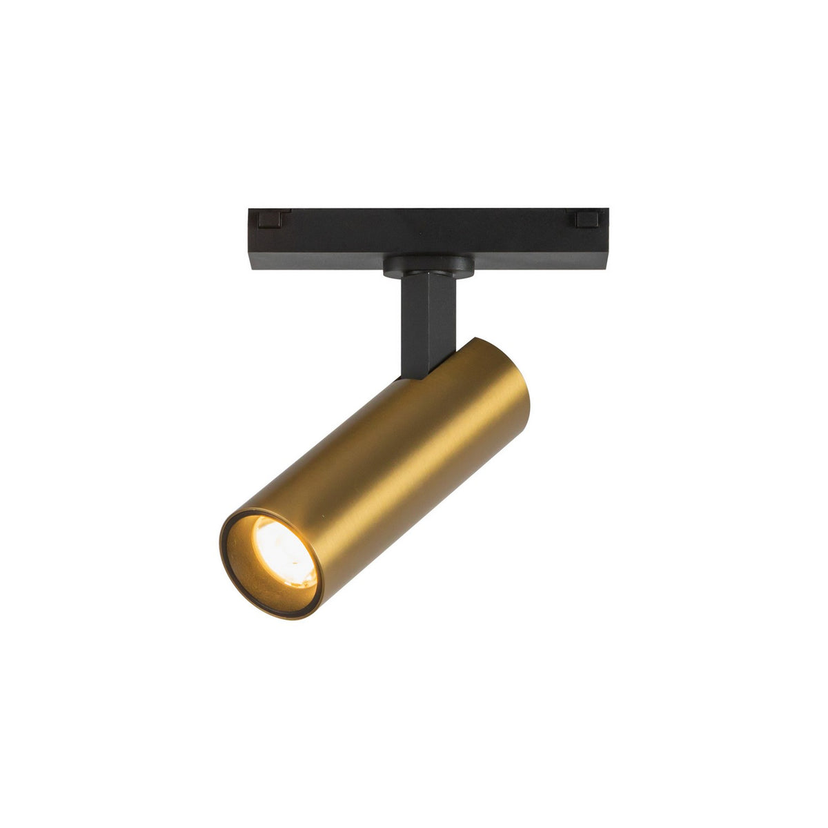 Kuzco Canada - TRS25914-BG-4K - LED Track Directional Light - Paolo - Brushed Gold