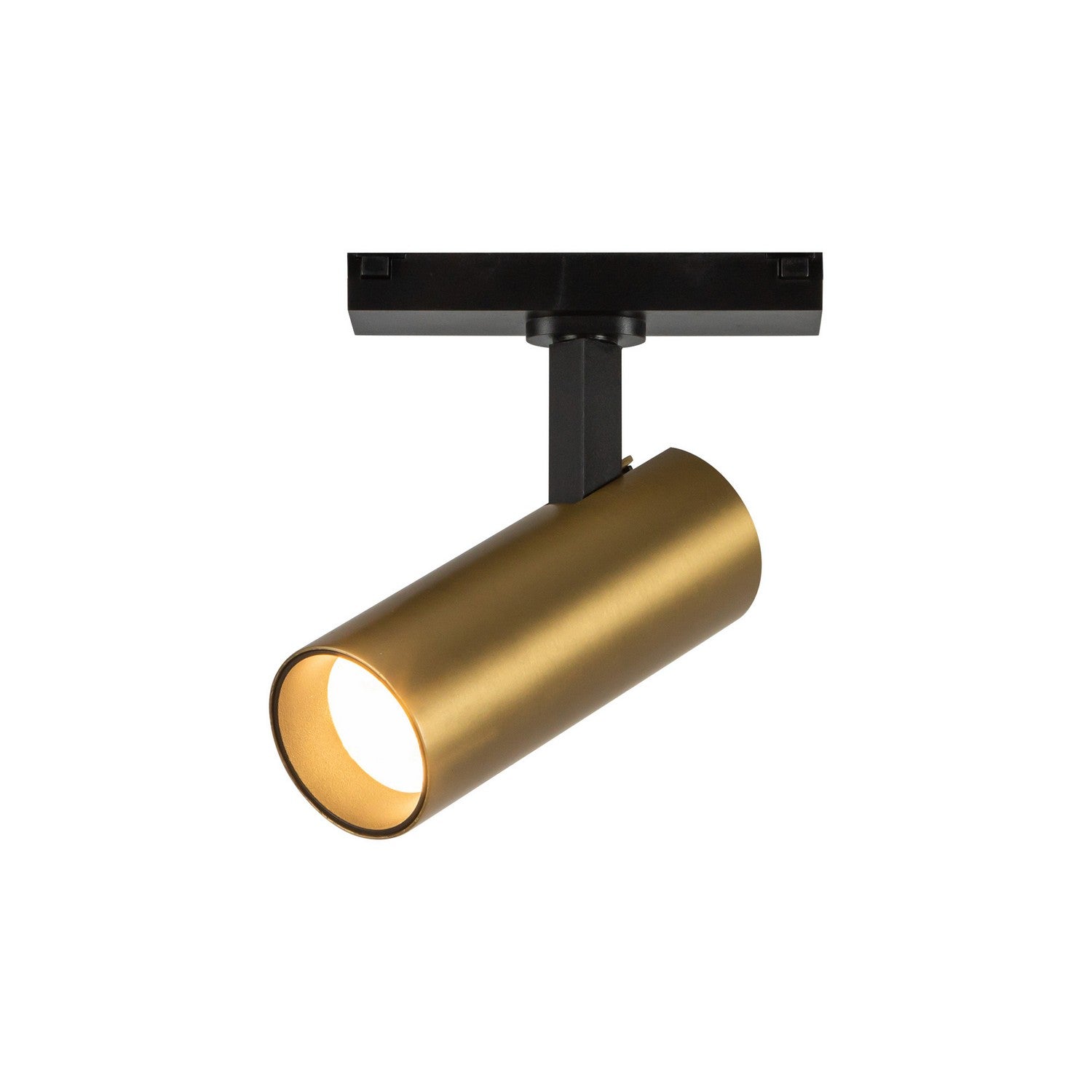Kuzco Canada - TRS25925-BG-4K - LED Track Directional Light - Paolo - Brushed Gold