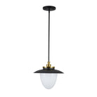 Artcraft Canada - AC11905BB - Une lampe Suspension - Dahlia - Noir