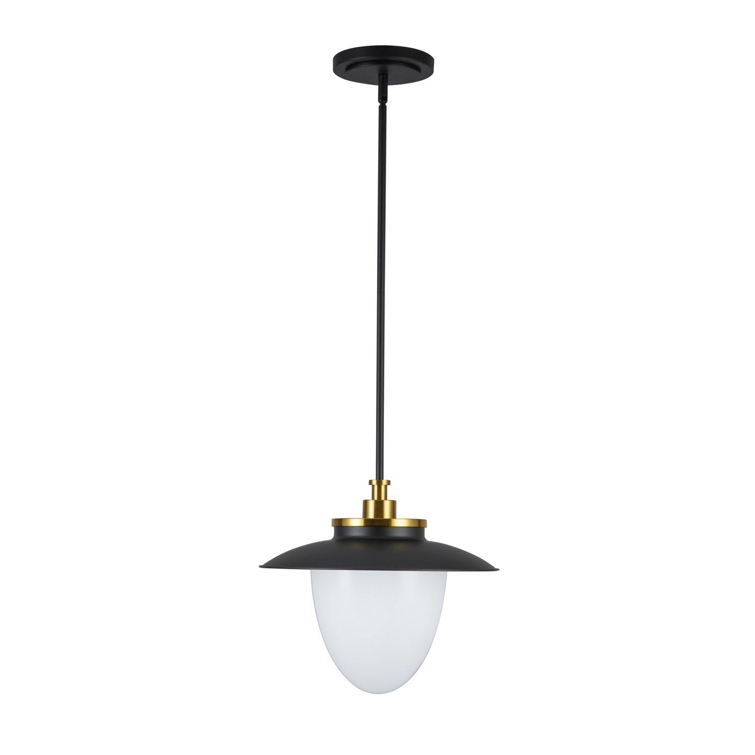 Artcraft Canada - AC11905BB - Une lampe Suspension - Dahlia - Noir