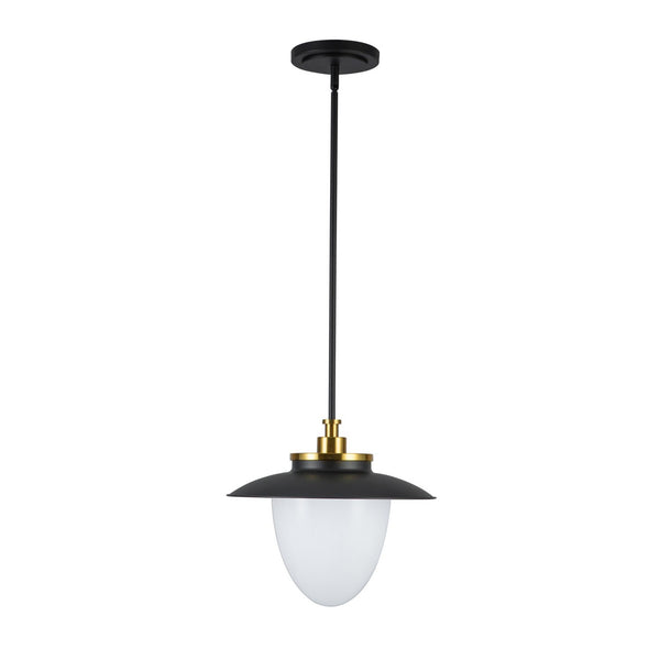 Dahlia Suspension - AC11905