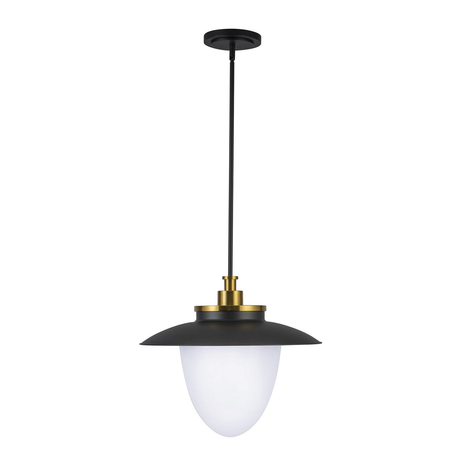 Artcraft Canada - AC11906BB - Three Light Pendant - Dahlia - Brushed Brass