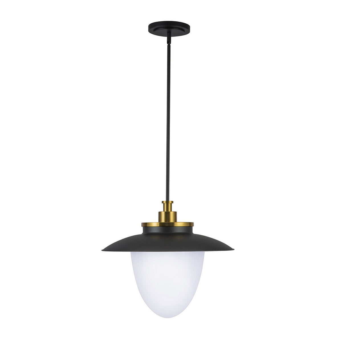 Artcraft Canada - AC11906BB - Three Light Pendant - Dahlia - Brushed Brass