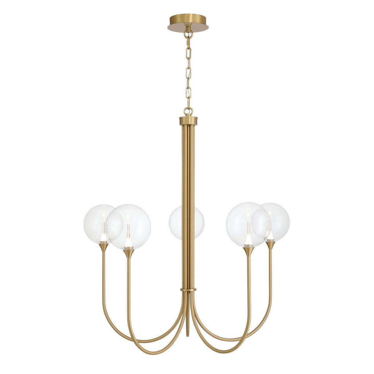Eurofase Canada - 48922-012 - Five Light Chandelier - Gold
