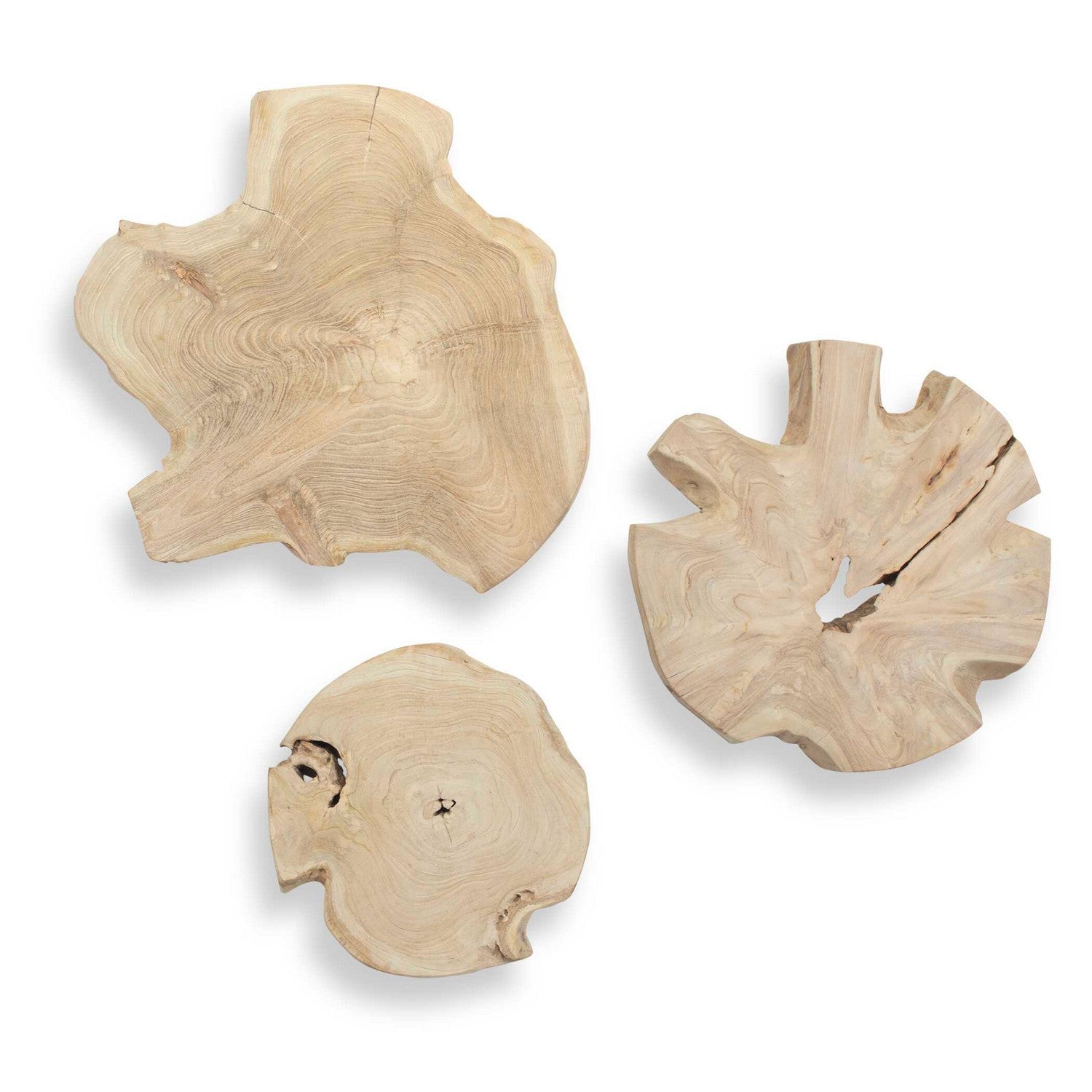 Uttermost - 04392 - Wall Art - Kalani - Bleached