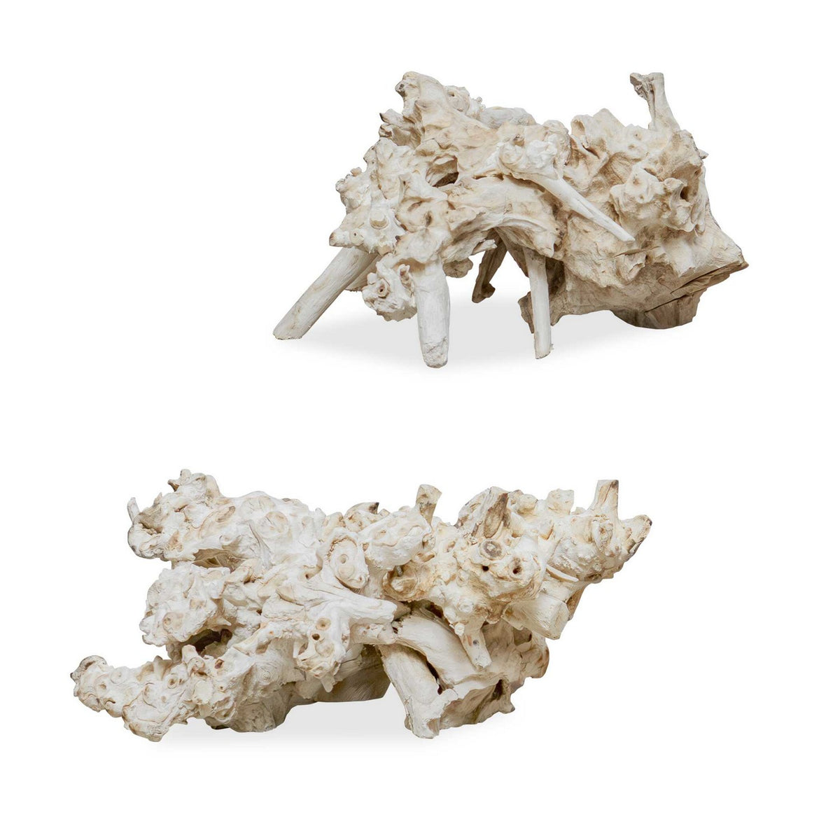 Uttermost - 17141 - Sculpture - Élémentaire - Bois résine blanchi