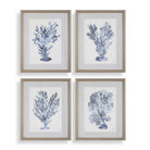 Uttermost - 32428 - Tirages encadrés, lot de 4 - Corail Shibori - Bois gris clair