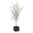 Uttermost - 60240 - Tree - Abundance - Olive