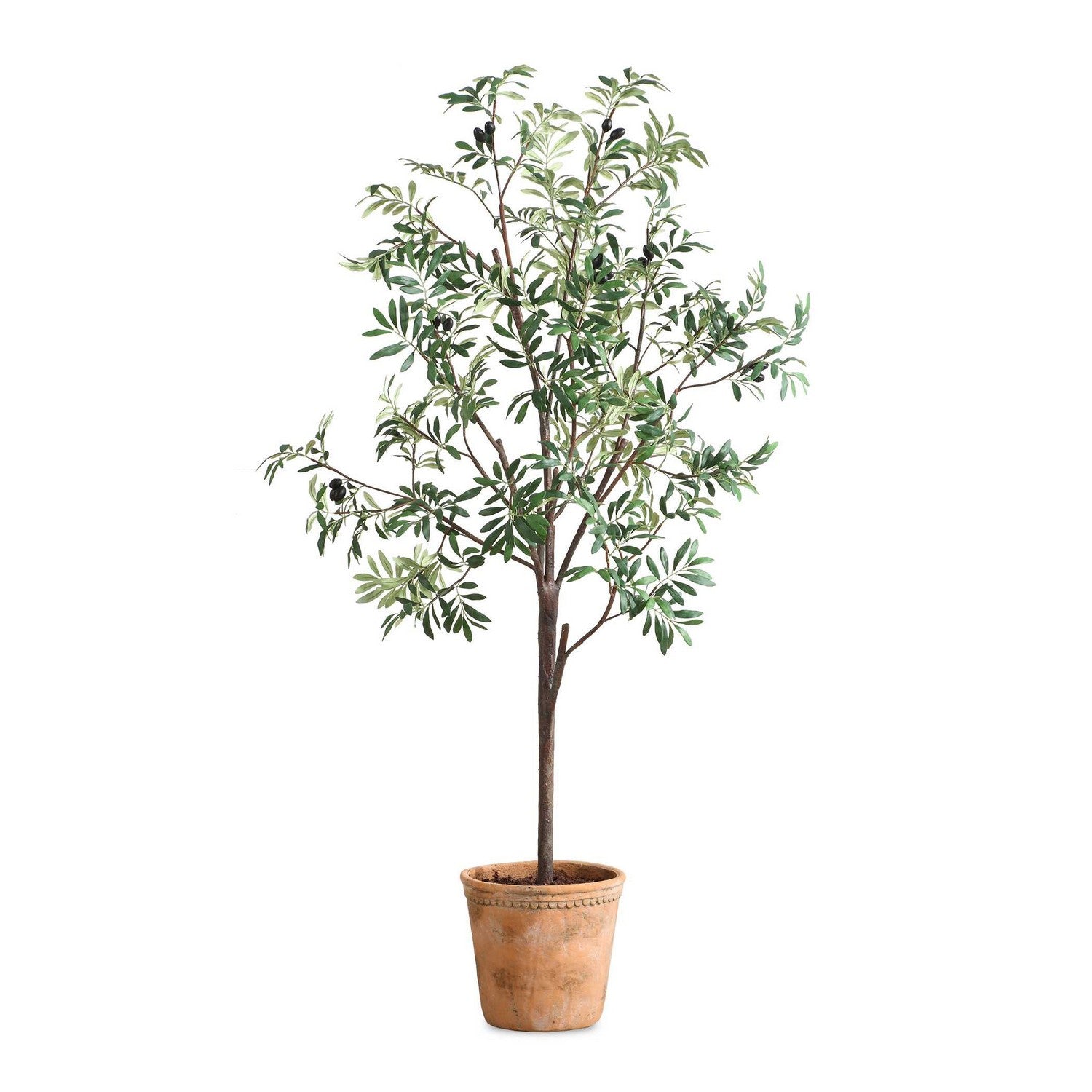 Uttermost - 60241 - Arbre - Olea - Terre cuite