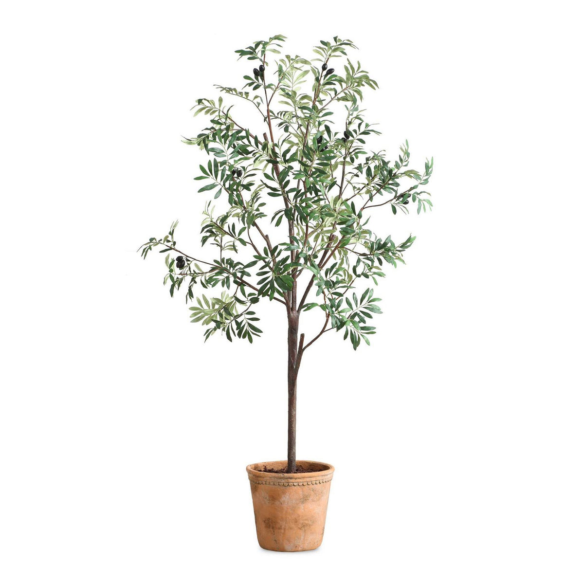 Uttermost - 60241 - Tree - Olea - Terracotta